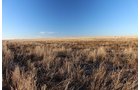 TRACT 2 - REAL ESTATE & MINERAL AUCTION - 640+/- ACRES & PRODUCING MINERALS OFFERED IN 8 TRACTS IN MORTON COUNTY, KANSAS